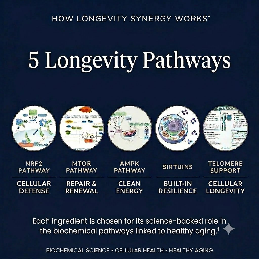 LONGEVITY SYNERGY