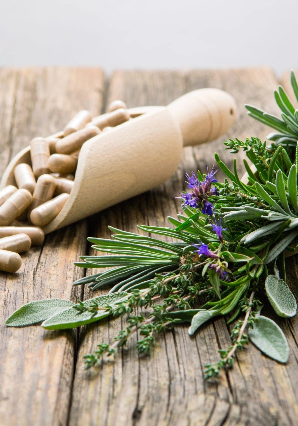 The Natural Approach to Graceful Aging†