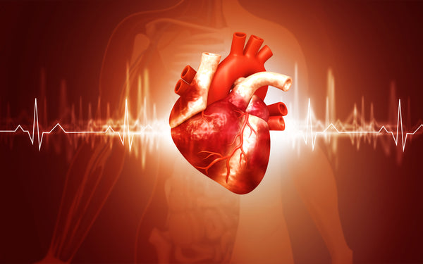 Heart Health