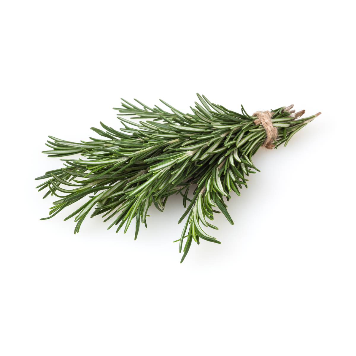Rosemary