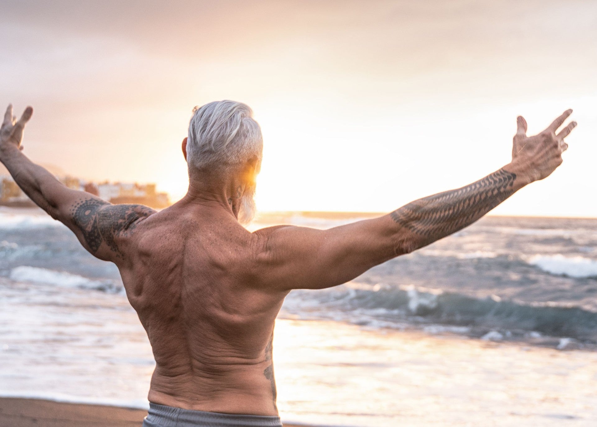 Longevity<sup>†</sup>